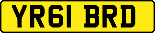 YR61BRD