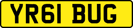 YR61BUG