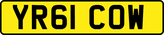 YR61COW