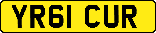 YR61CUR