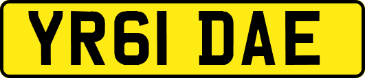 YR61DAE