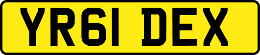 YR61DEX