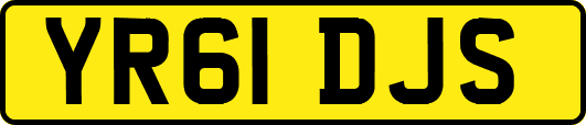 YR61DJS