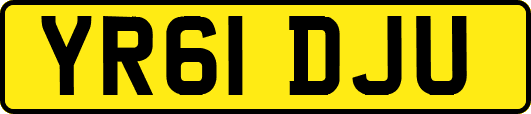 YR61DJU