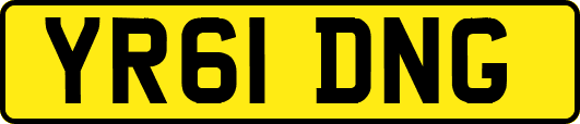 YR61DNG