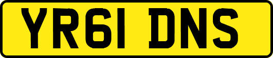 YR61DNS