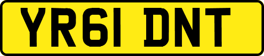 YR61DNT