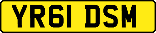 YR61DSM