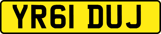 YR61DUJ
