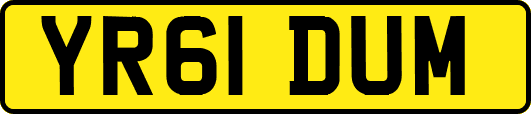 YR61DUM