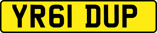 YR61DUP