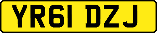 YR61DZJ