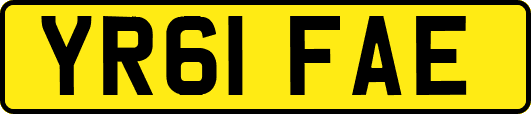 YR61FAE
