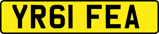 YR61FEA