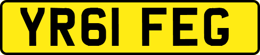 YR61FEG