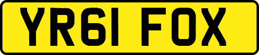 YR61FOX