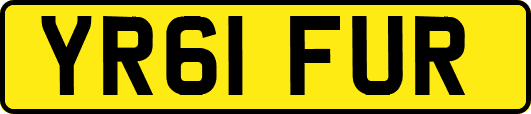 YR61FUR