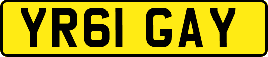 YR61GAY