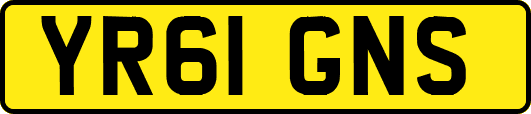 YR61GNS