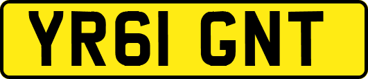 YR61GNT