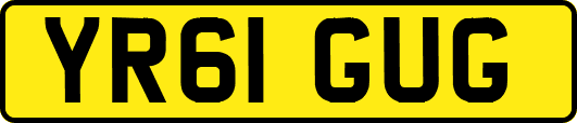 YR61GUG
