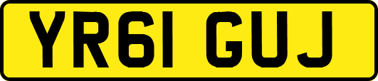 YR61GUJ