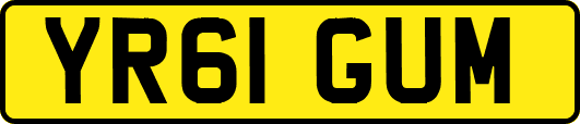 YR61GUM