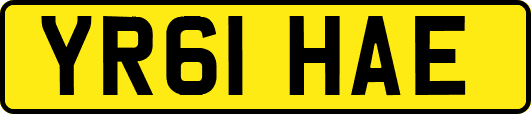 YR61HAE