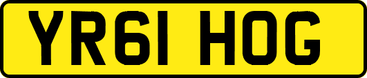YR61HOG