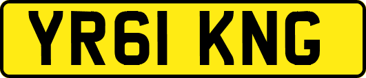 YR61KNG