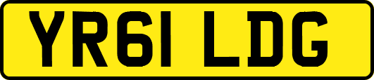 YR61LDG