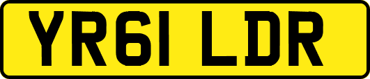 YR61LDR