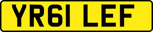 YR61LEF