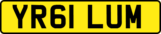YR61LUM