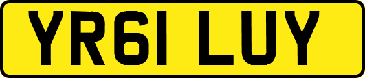 YR61LUY