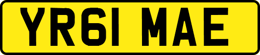 YR61MAE