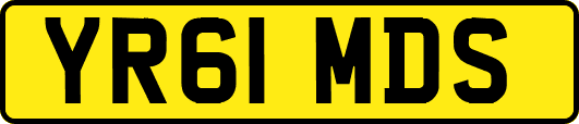 YR61MDS