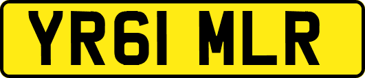 YR61MLR