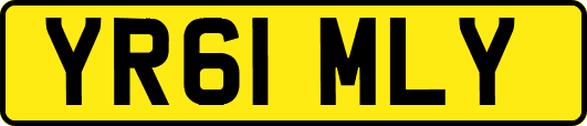 YR61MLY