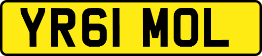 YR61MOL
