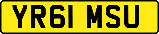 YR61MSU