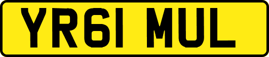 YR61MUL