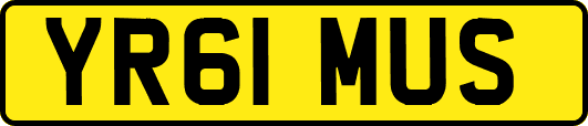 YR61MUS