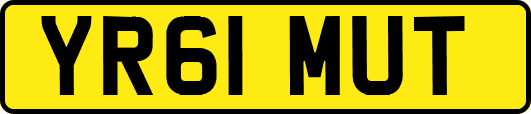 YR61MUT