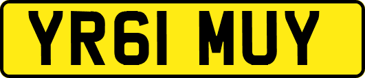 YR61MUY