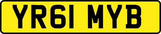 YR61MYB