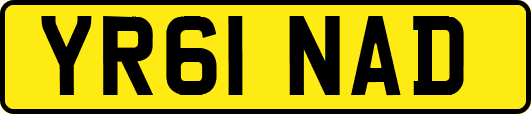 YR61NAD