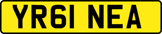 YR61NEA