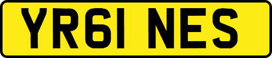 YR61NES