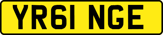 YR61NGE